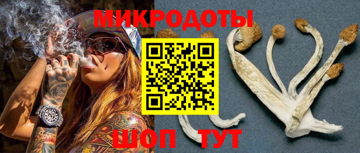 Псилоцибиновые грибы Cubensis  Вход с VPN  Ленинск-Кузнецкий 
